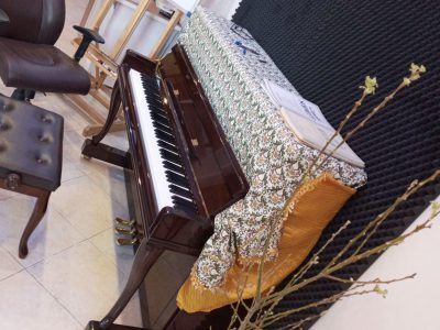 تدریس خصوصی پیانو در شیراز توسط استاد و مربی حرفه‌ای از آلمان